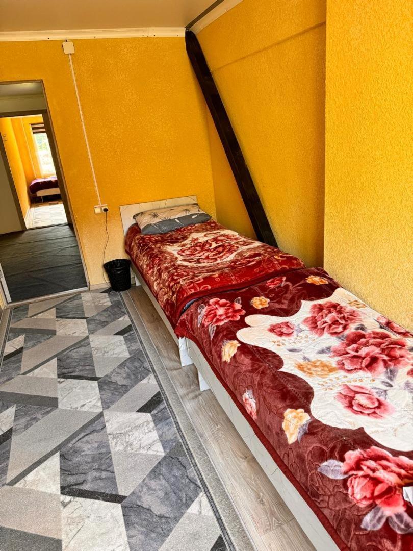 Ala-Kul Guesthouse In Altyn-Arashan Karakol Eksteriør billede