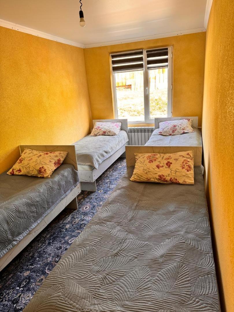 Ala-Kul Guesthouse In Altyn-Arashan Karakol Eksteriør billede