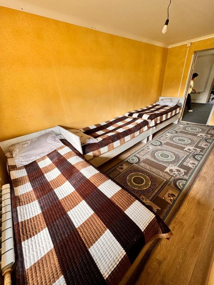 Ala-Kul Guesthouse In Altyn-Arashan Karakol Eksteriør billede